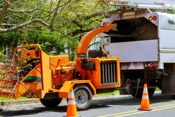 Best Tree Pruning Services  in Cavalero, WA